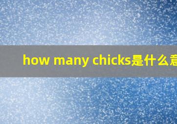 how many chicks是什么意思